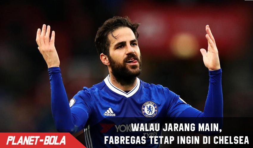 Jarang Bermain, Fabregas mengaku tidak ingin tinggalkan Chelsea