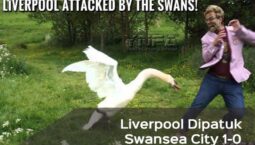 Memalukan! Liverpool Dipatuk Swansea City 1-0
